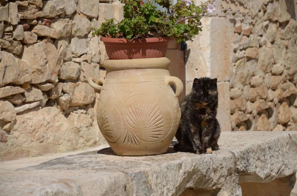 Casina Di Grotta Di Ferro Konuk evi Santa Croce Camerina Dış mekan fotoğraf